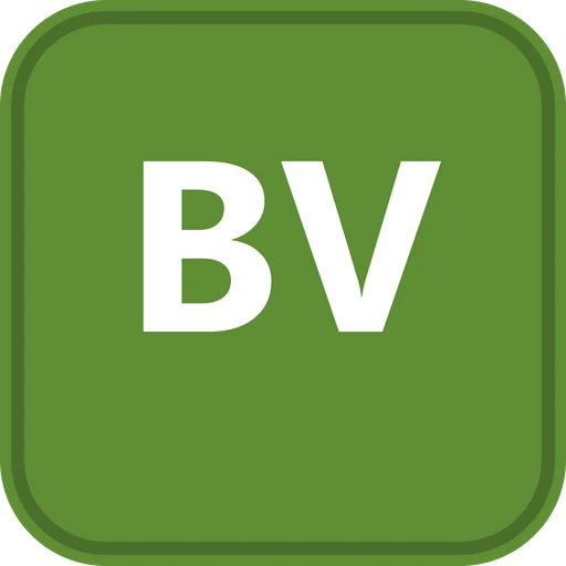 Blossom Village Nursery logo