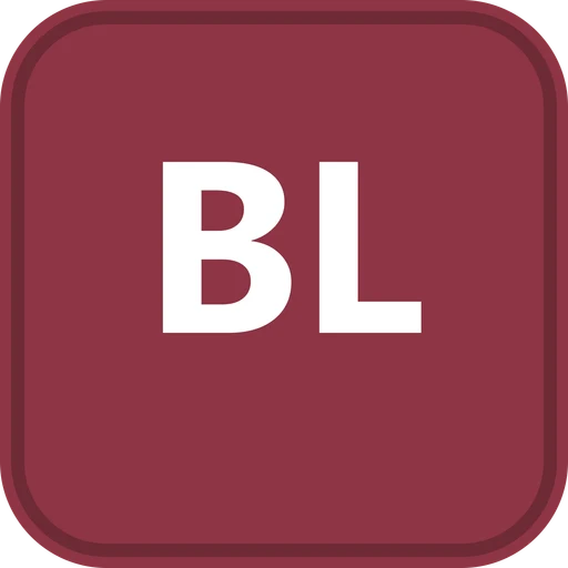 Bright Learners Private School logo