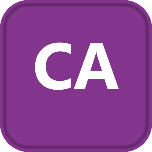City American School logo