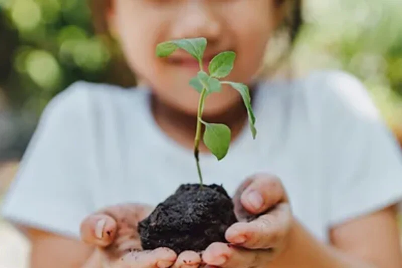 Dibber Nursery Sustainable City