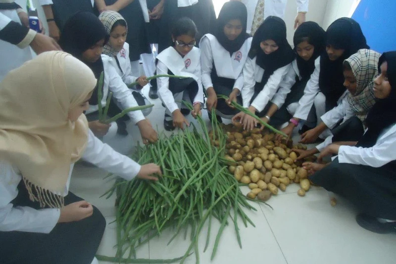 International Indian School Ajman