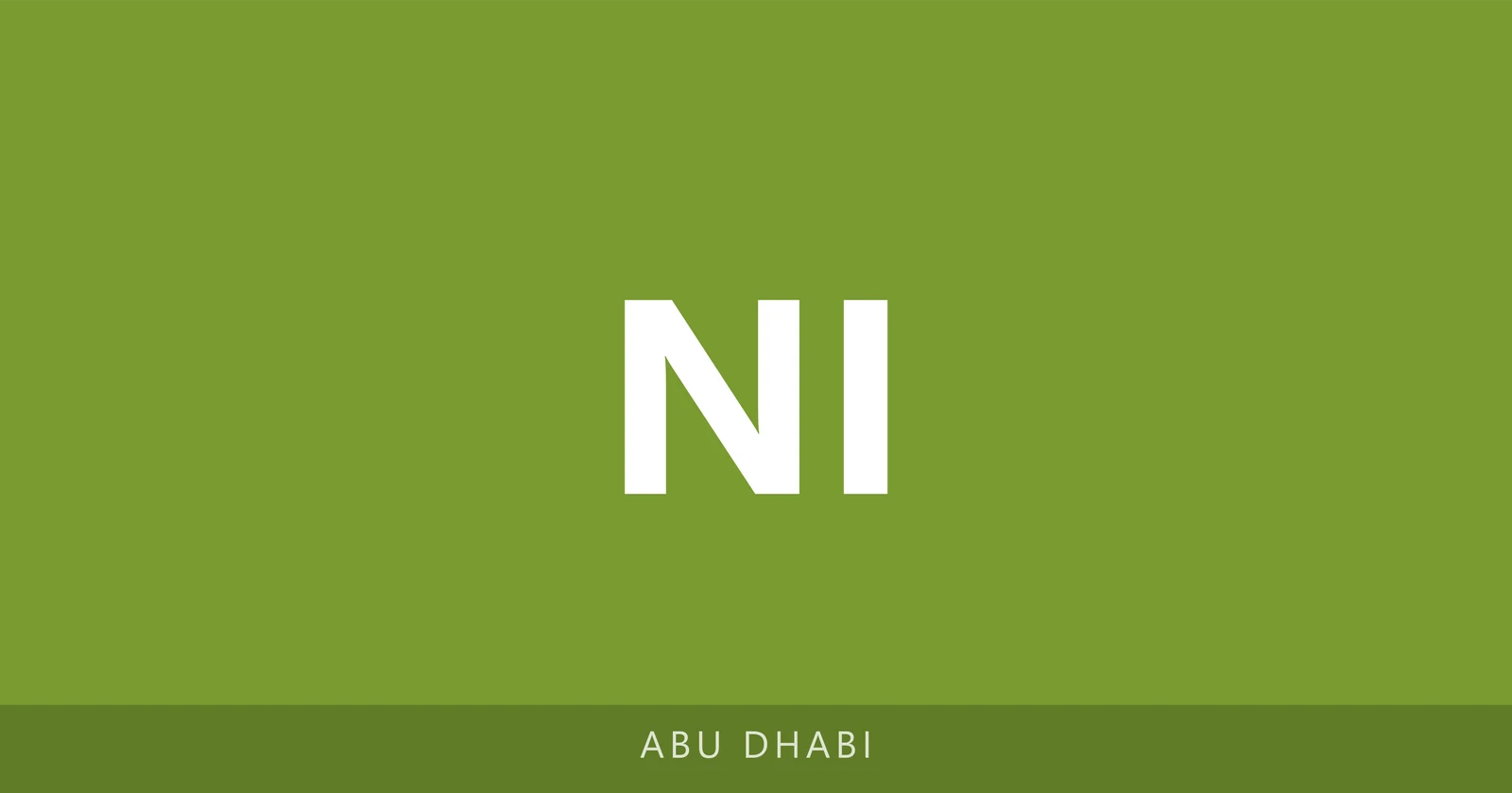 New Indian Model School
