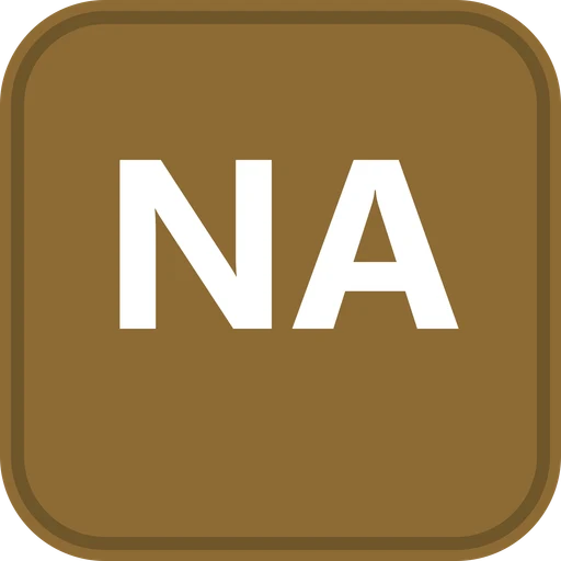 North American International School logo