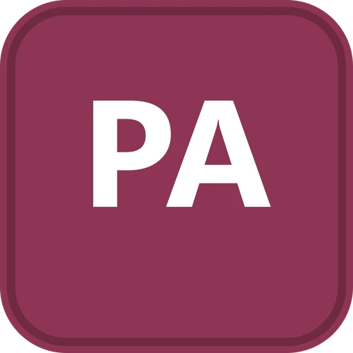 Pinnacle American School logo