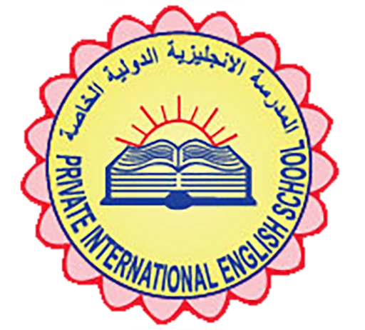 Private International English School logo