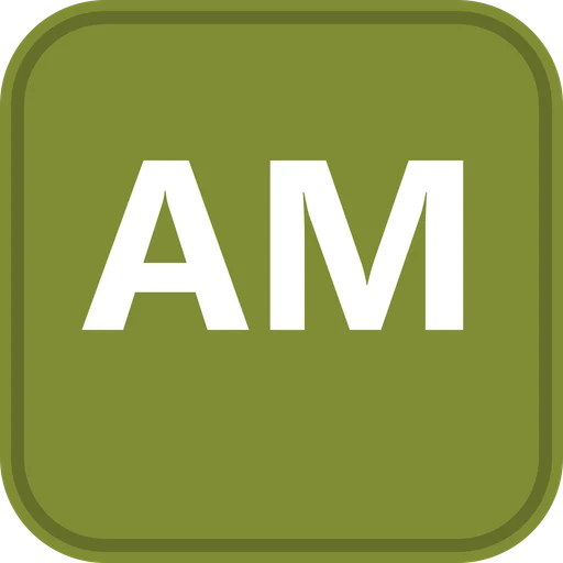 The American International School logo