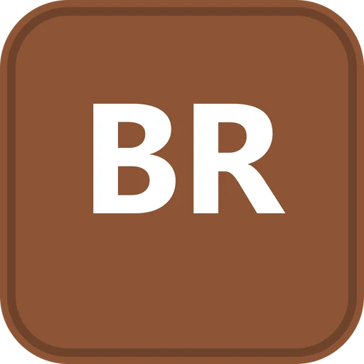 The British International School logo