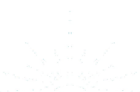 Vision Private School logo
